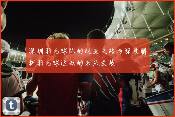 深圳羽毛球队的蜕变之路与深度解析羽毛球运动的未来发展