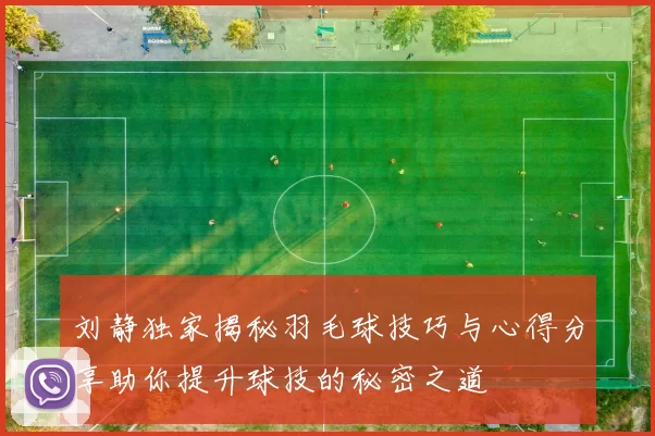 刘静独家揭秘羽毛球技巧与心得分享助你提升球技的秘密之道