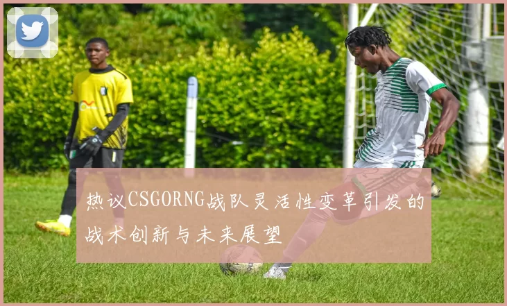 热议CSGORNG战队灵活性变革引发的战术创新与未来展望