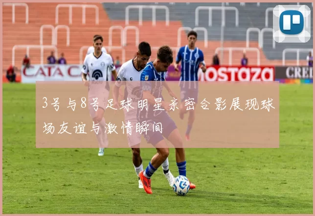 3号与8号足球明星亲密合影展现球场友谊与激情瞬间