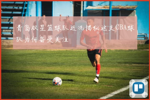 青岛双星篮球队近况揭秘这支CBA球队为何备受关注