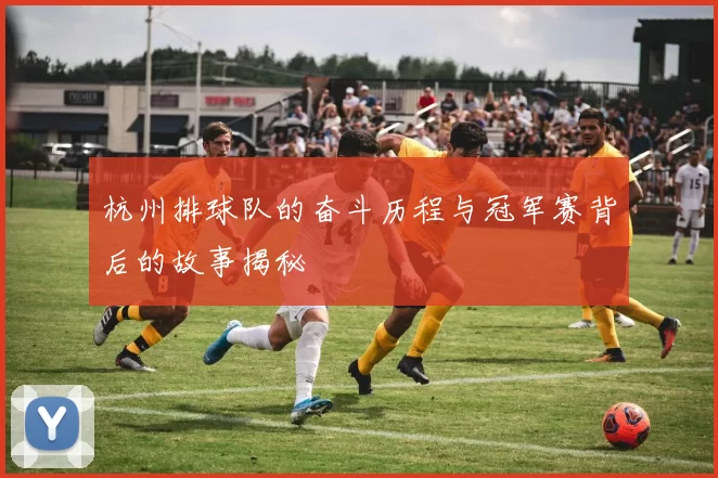 杭州排球队的奋斗历程与冠军赛背后的故事揭秘