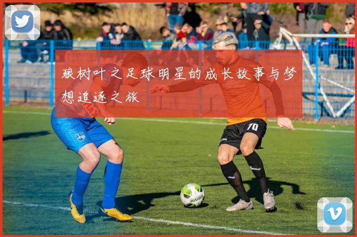 狼树叶之足球明星的成长故事与梦想追逐之旅