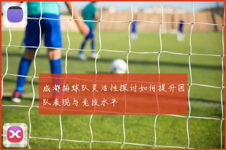 成都排球队灵活性探讨如何提升团队表现与竞技水平