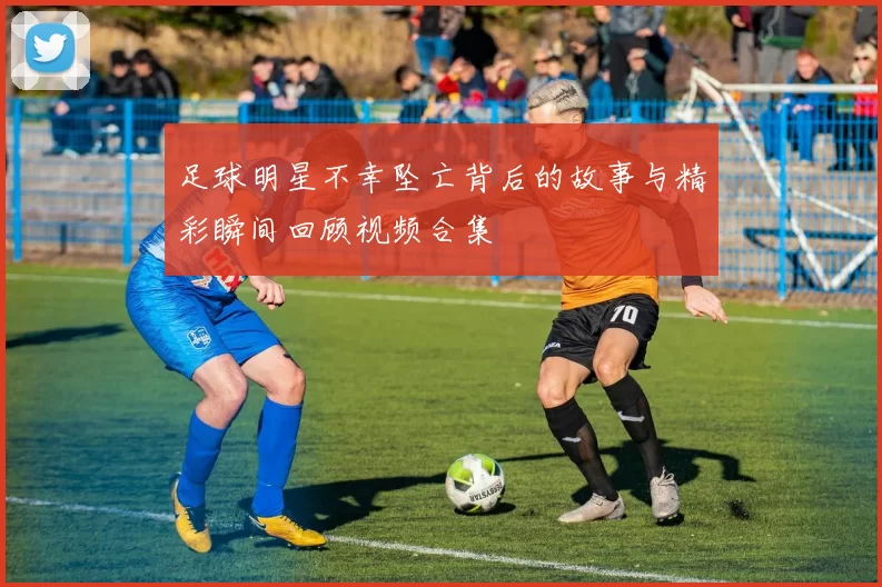 足球明星不幸坠亡背后的故事与精彩瞬间回顾视频合集
