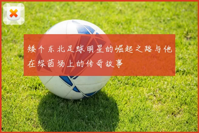 矮个东北足球明星的崛起之路与他在绿茵场上的传奇故事