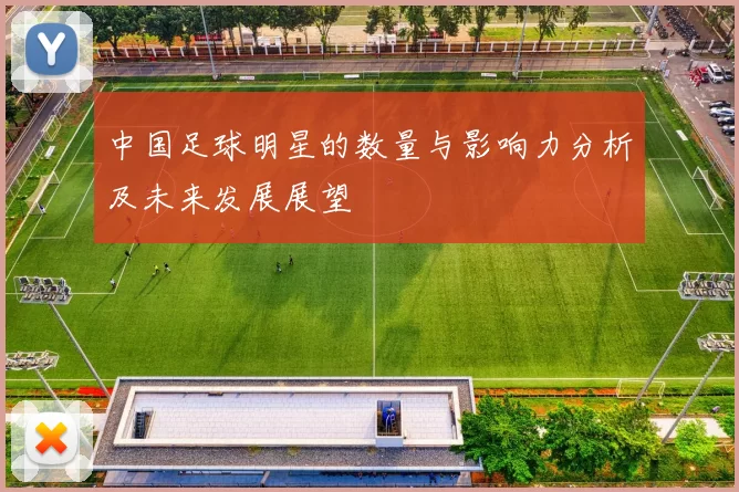 中国足球明星的数量与影响力分析及未来发展展望