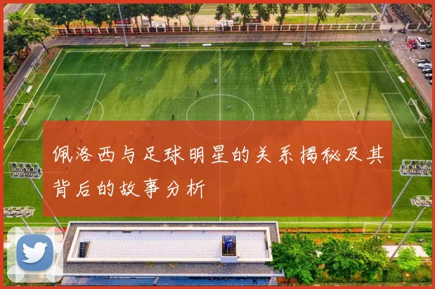 佩洛西与足球明星的关系揭秘及其背后的故事分析