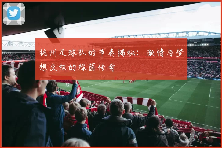 杭州足球队的节奏揭秘：激情与梦想交织的绿茵传奇