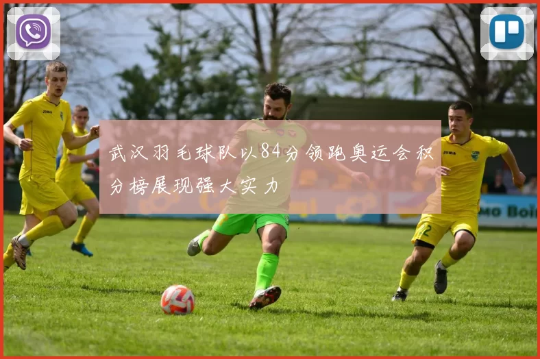 武汉羽毛球队以84分领跑奥运会积分榜展现强大实力