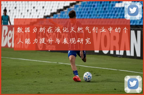 数据分析在液化天然气行业中的个人能力提升与表现研究