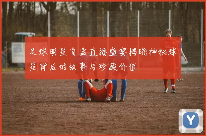 足球明星盲盒直播盛宴揭晓神秘球星背后的故事与珍藏价值
