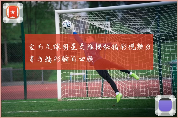 金毛足球明星是谁揭秘精彩视频分享与精彩瞬间回顾