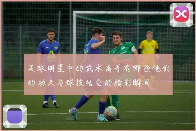 足球明星中的武术高手有哪些他们的功夫与球技结合的精彩瞬间
