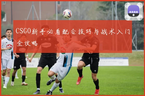CSGO新手必看配合技巧与战术入门全攻略