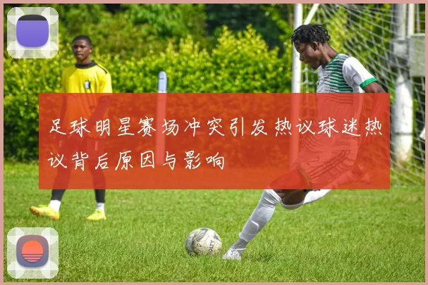 足球明星赛场冲突引发热议球迷热议背后原因与影响