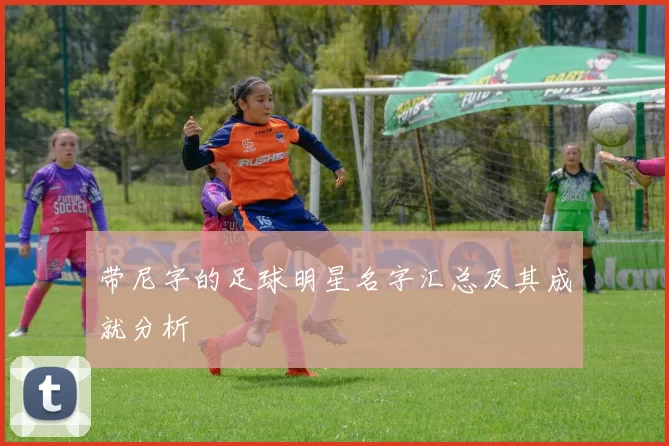 带尼字的足球明星名字汇总及其成就分析