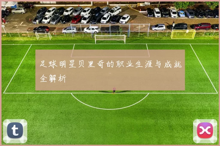 足球明星贝里奇的职业生涯与成就全解析