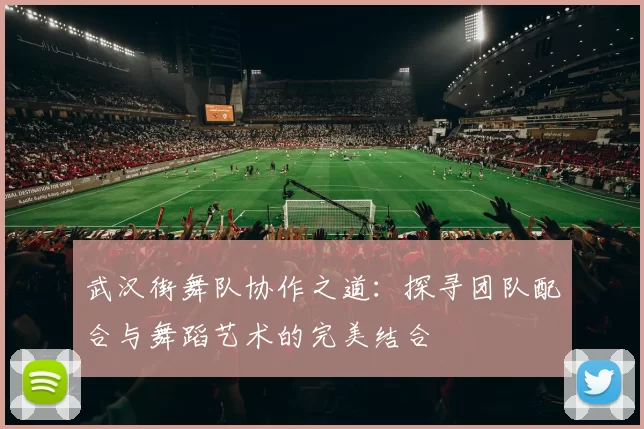 武汉街舞队协作之道：探寻团队配合与舞蹈艺术的完美结合