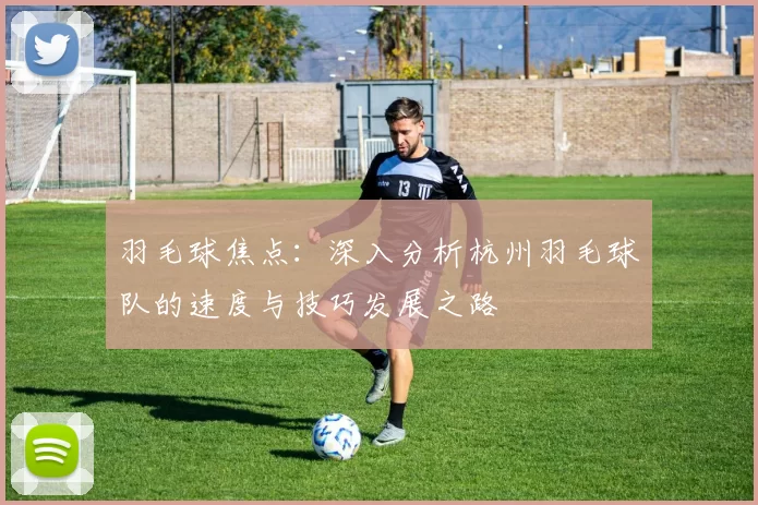 羽毛球焦点：深入分析杭州羽毛球队的速度与技巧发展之路