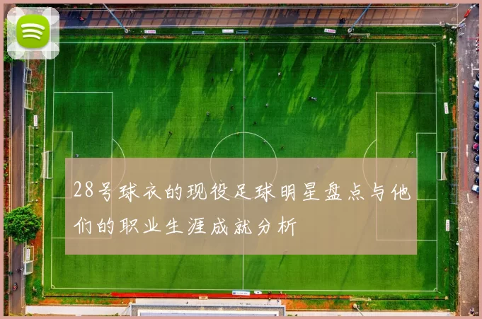 28号球衣的现役足球明星盘点与他们的职业生涯成就分析