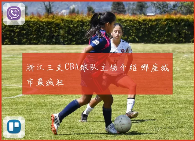 浙江三支CBA球队主场介绍 哪座城市最疯狂