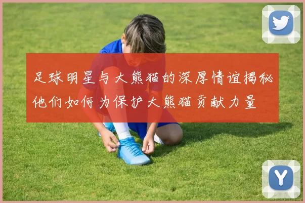 足球明星与大熊猫的深厚情谊揭秘他们如何为保护大熊猫贡献力量