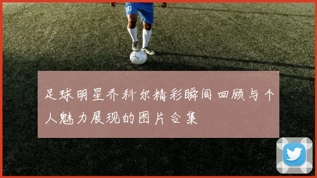 足球明星乔科尔精彩瞬间回顾与个人魅力展现的图片合集