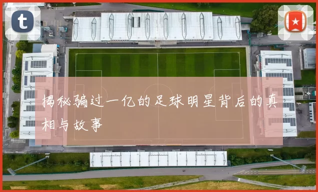 揭秘骗过一亿的足球明星背后的真相与故事