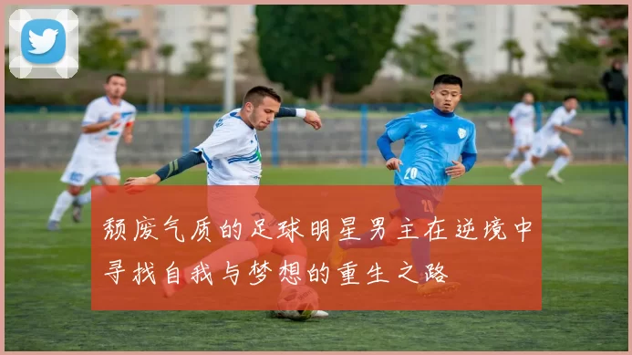 颓废气质的足球明星男主在逆境中寻找自我与梦想的重生之路