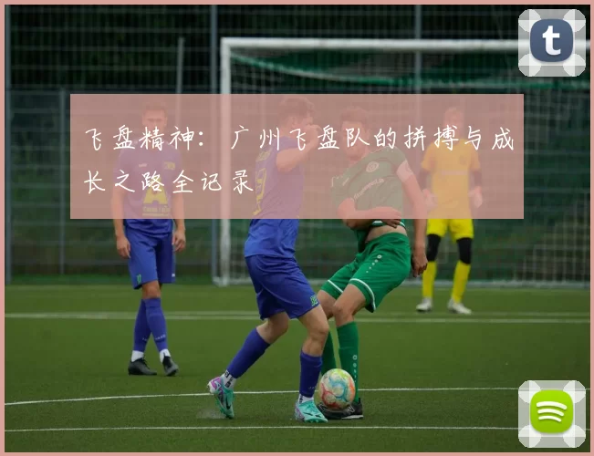 飞盘精神：广州飞盘队的拼搏与成长之路全记录