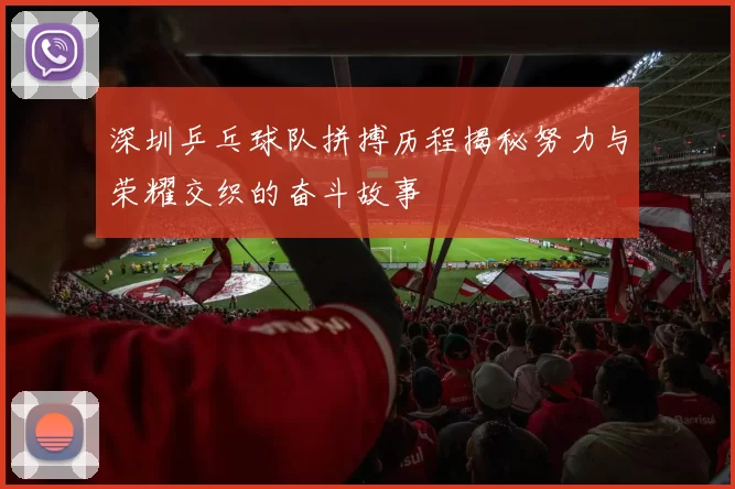 深圳乒乓球队拼搏历程揭秘努力与荣耀交织的奋斗故事