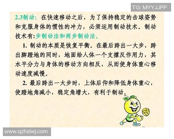 成都排球队反击战术深度解析与实战应用探讨